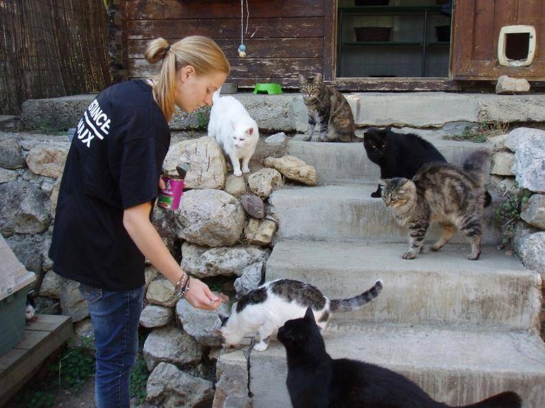 Les 10 bonnes raisons d’adopter un animal dans un refuge - Var-Matin