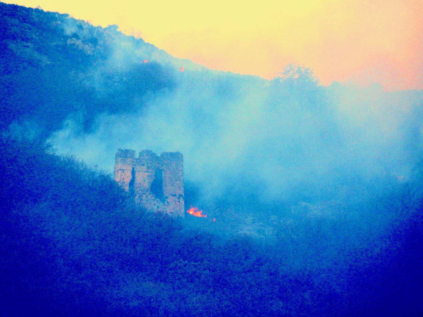 Au moins 100 hectares détruits... Le point ce lundi matin sur le violent feu de forêt à