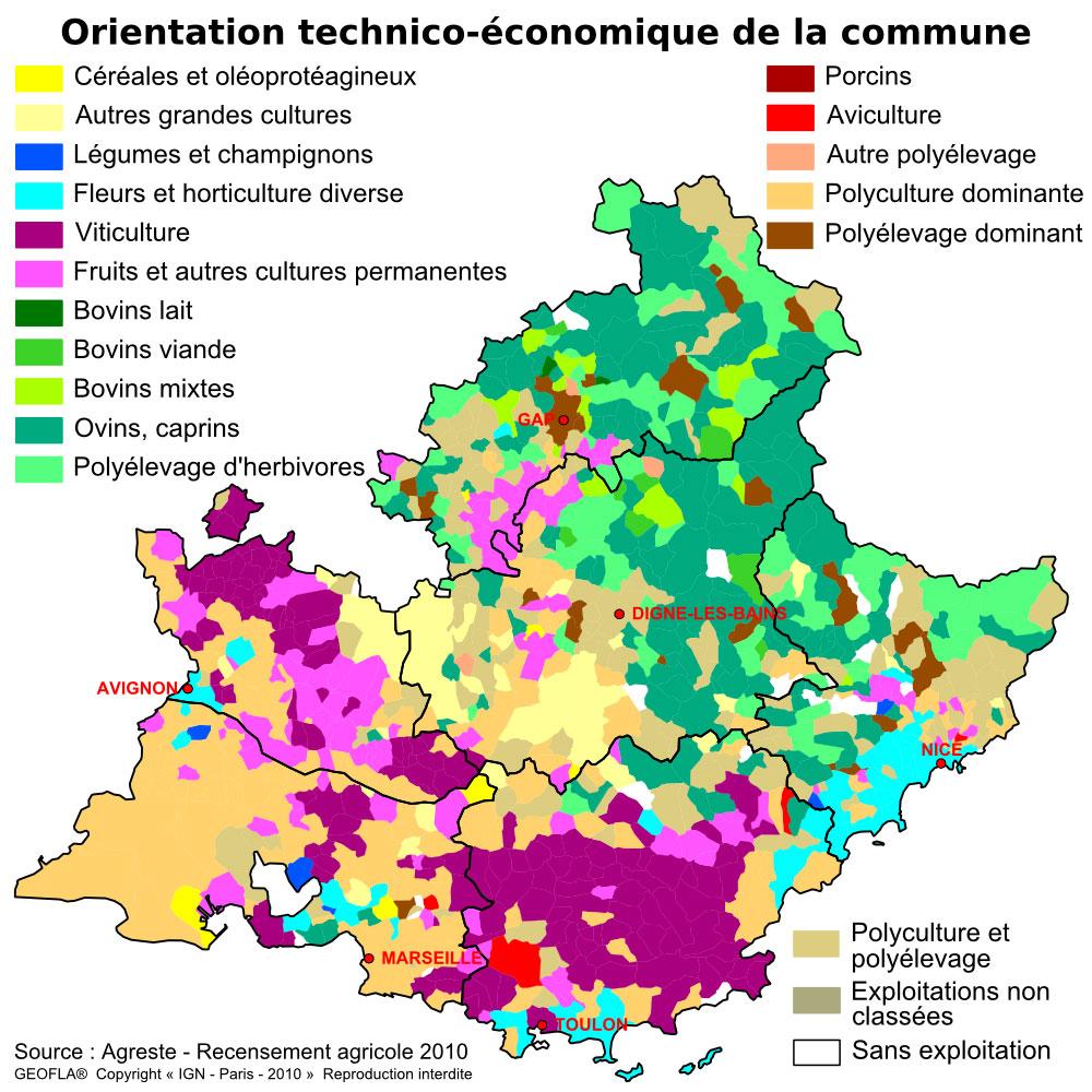 Comment sauver l’agriculture locale? Un mois pour trouver des solutions