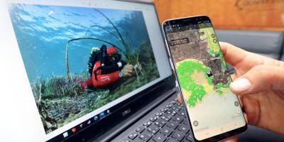 Une application gratuite pour inciter les plaisancier à ne pas abîmer les posidonies