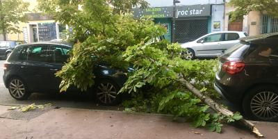 Une branche d'arbre tombe sur une voiture à Draguignan