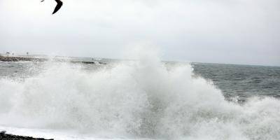 Le bord de mer à Cannes fermé jusqu'à midi pour nettoyage