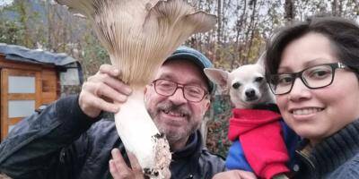Ils ramassent un champignon pas comme les autres