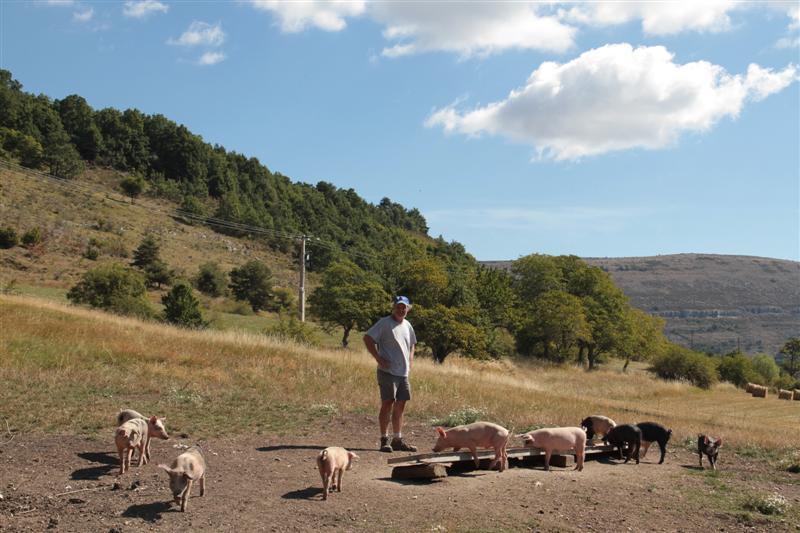 A la ferme de Canaux, à Andon, Roland Clouet est persuadé qu’« il existe un créneau pour la filière porcine, à condition d’être irréprochable ».
