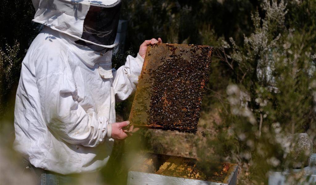 A chaque printemps et chaque hiver, les parrains reçoivent leur pot de miel avec une étiquette à leur nom.