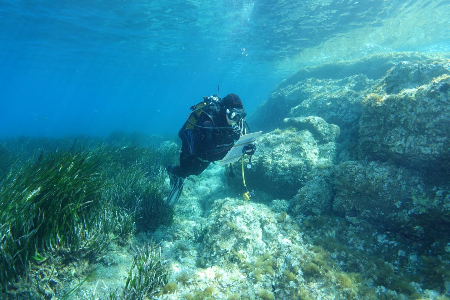 Plongée au Cap Ferrat