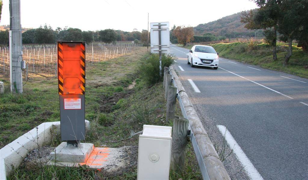 PHOTOS. En jaune, en noir, en orange... les plus belles "œuvres" du