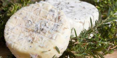 Un Toulonnais incarcéré pour le vol d'un morceau de fromage
