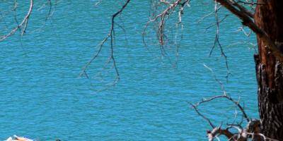 Incivilités au quotidien sur les berges de la retenue d'eau de Dardennes au Revest