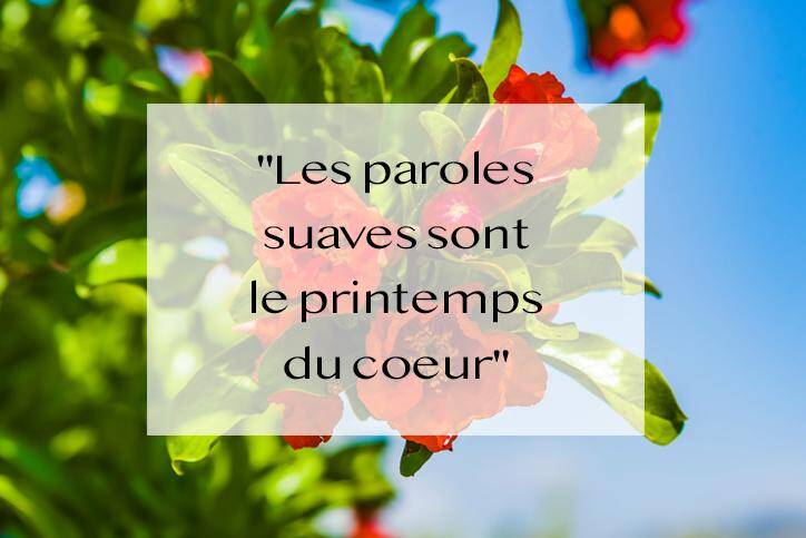 Connaissez Vous Ces 10 Proverbes Du Printemps Toutravailpaye Over Blog Com