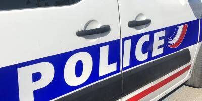 Un chien violenté par son propriétaire sauvé par une aide soignante à Marseille