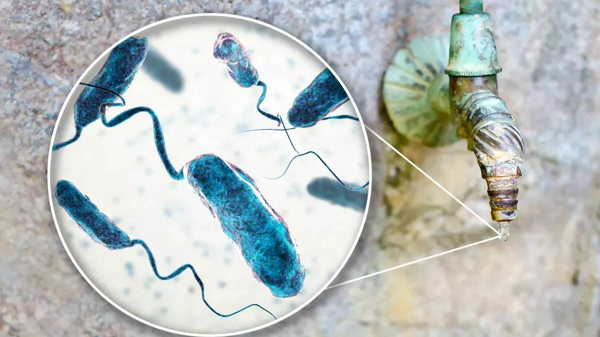 Choléra: que sait-on de la découverte de cette nouvelle souche résistante aux antibiotiques