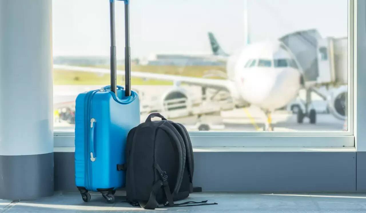 La soute de l'avion a été envahie par les cafards: cela fait 5 jours que ces passagers attendent leurs bagages