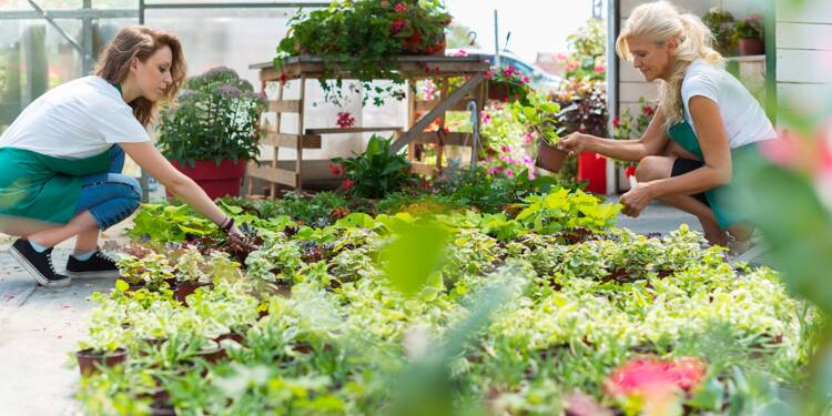 Vendeur et chef de rayon en jardinerie à Nice: et si vous postuliez?