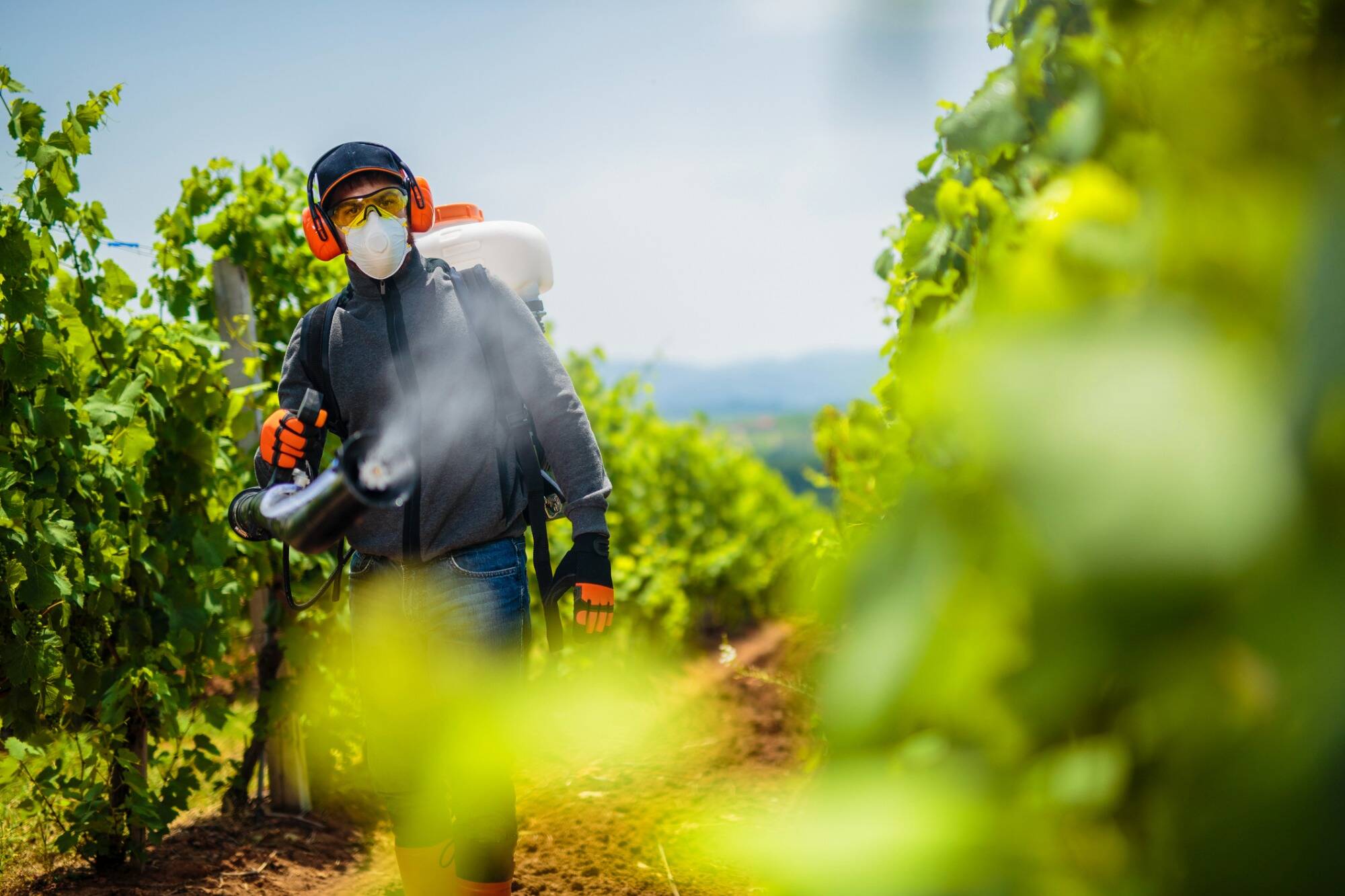Pesticides et cancers: un collectif d'experts, dont plusieurs azuréens et varois, alerte sur "une mise en danger" de la population par le gouvernement