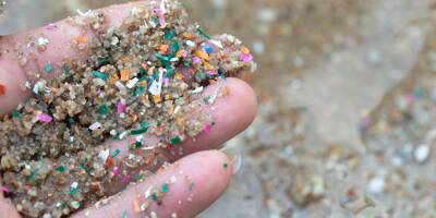 Vers une interdiction mondiale des plastiques à usage unique? Le WWF publie deux rapports en ce sens