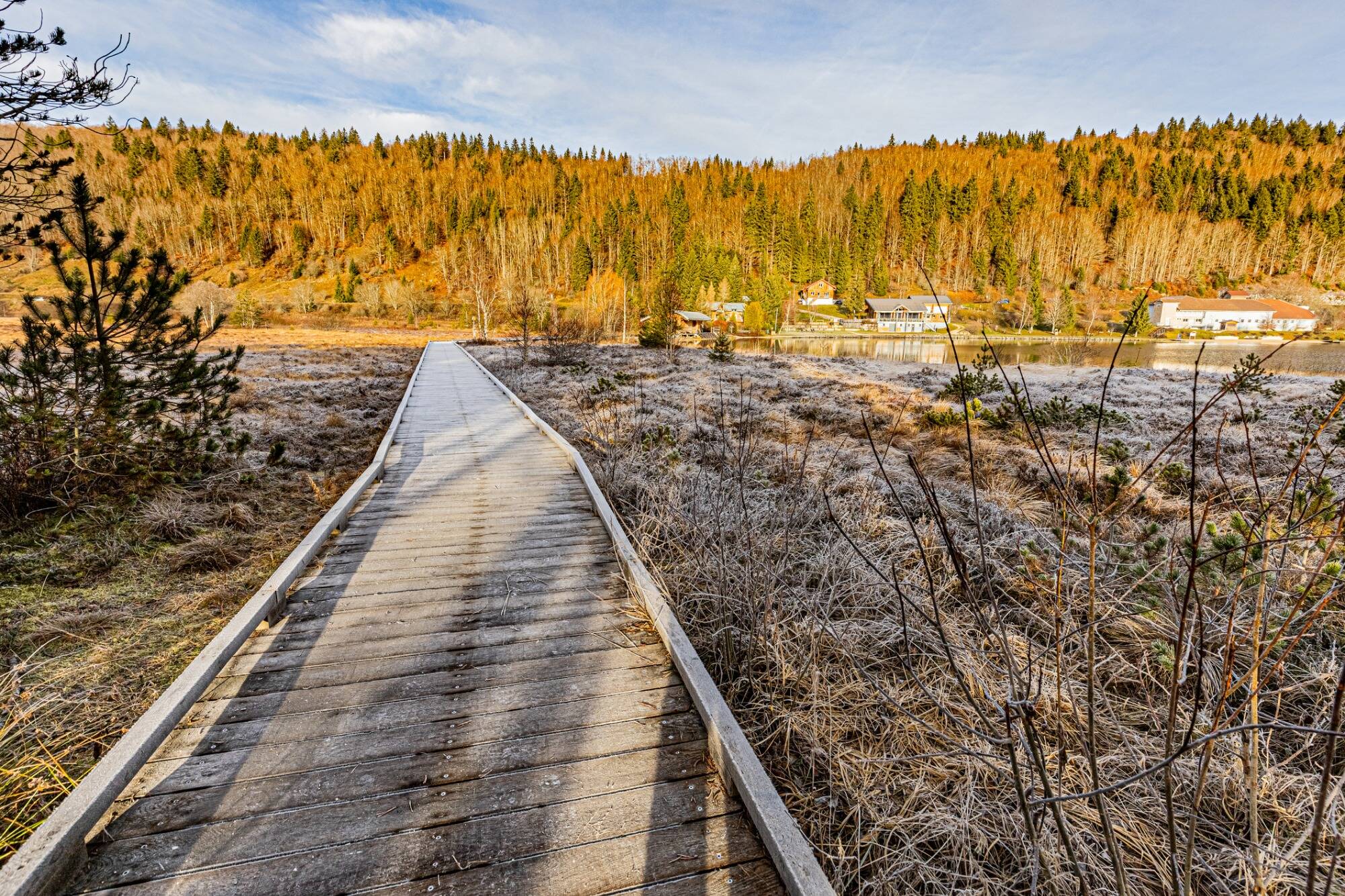 80% des habitats naturels dans l'UE dans un état "mauvais ou médiocre": un texte de l'UE est en cours pour les préserver