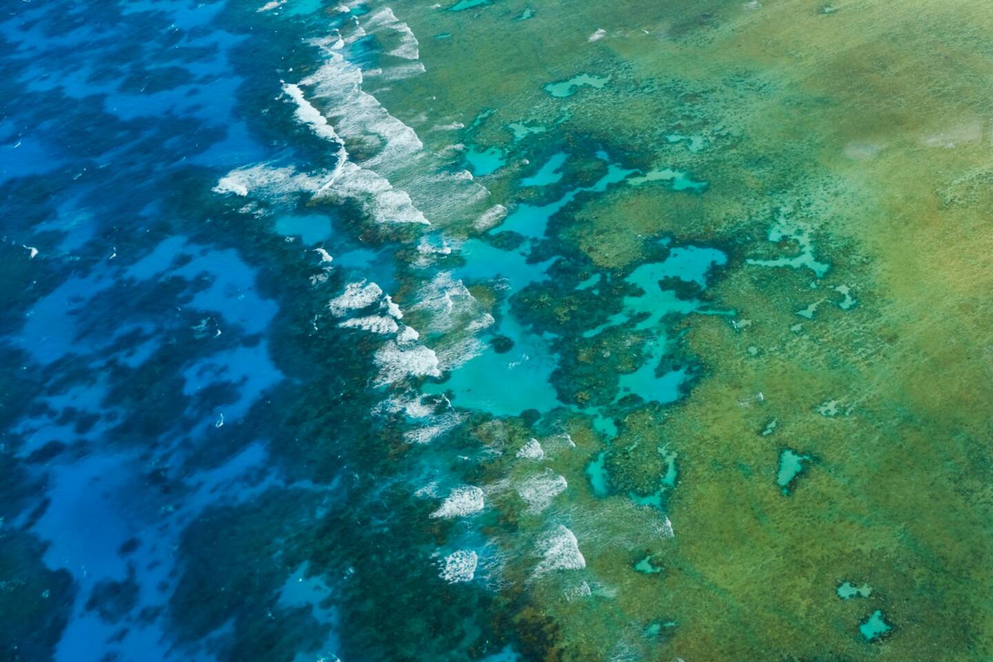 Certaines parties de la Grande Barrière de corail, en Australie, ont subi la plus forte mortalité corallienne jamais enregistrée, et les scientifiques craignent que le reste de l'écosystème ne subisse le même sort, selon une étude publiée mardi.
