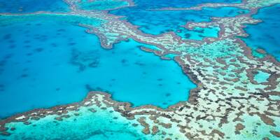 L'Australie s'engage à dédier 2,7 milliards d'euros pour protéger la Grande barrière de corail