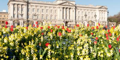 Graines pour les enfants, garde-robe royale réutilisée, fleurs... la nature et sa protection célébrée pour le couronnement de Charles III