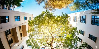 Y-a-t-il assez d'arbres dans votre ville? Habitants de Nice, Menton, Cannes et Antibes, vous avez la parole