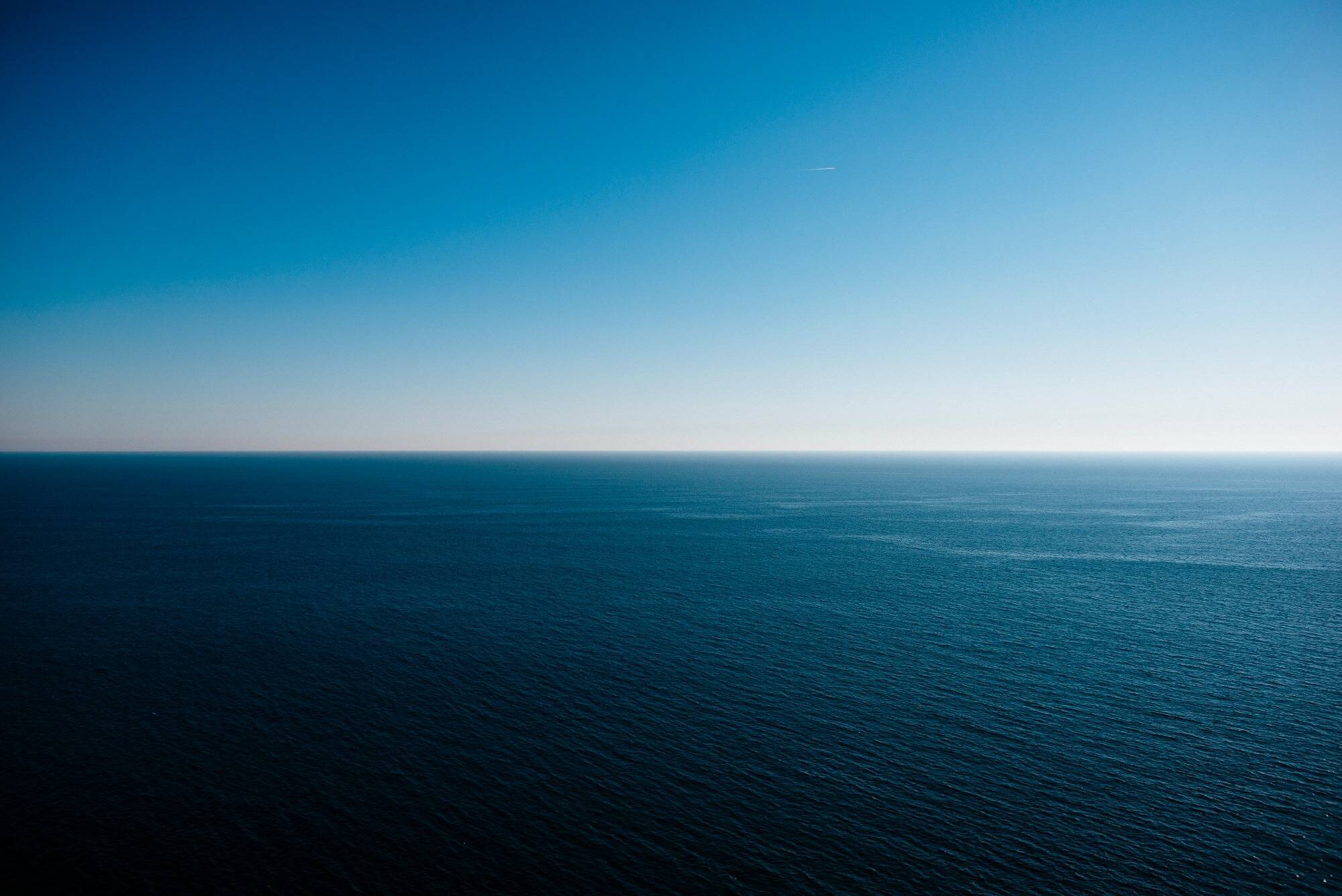 Greenpeace alerte sur la surpêche et appelle à ratifier le traité sur la haute mer, qui "offre un espoir"