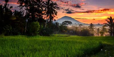 Deux touristes, dont une Française, tués par la chute d'arbres dans un parc touristique à Bali