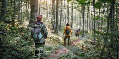 7 bonnes pratiques à adopter pour se promener en forêt