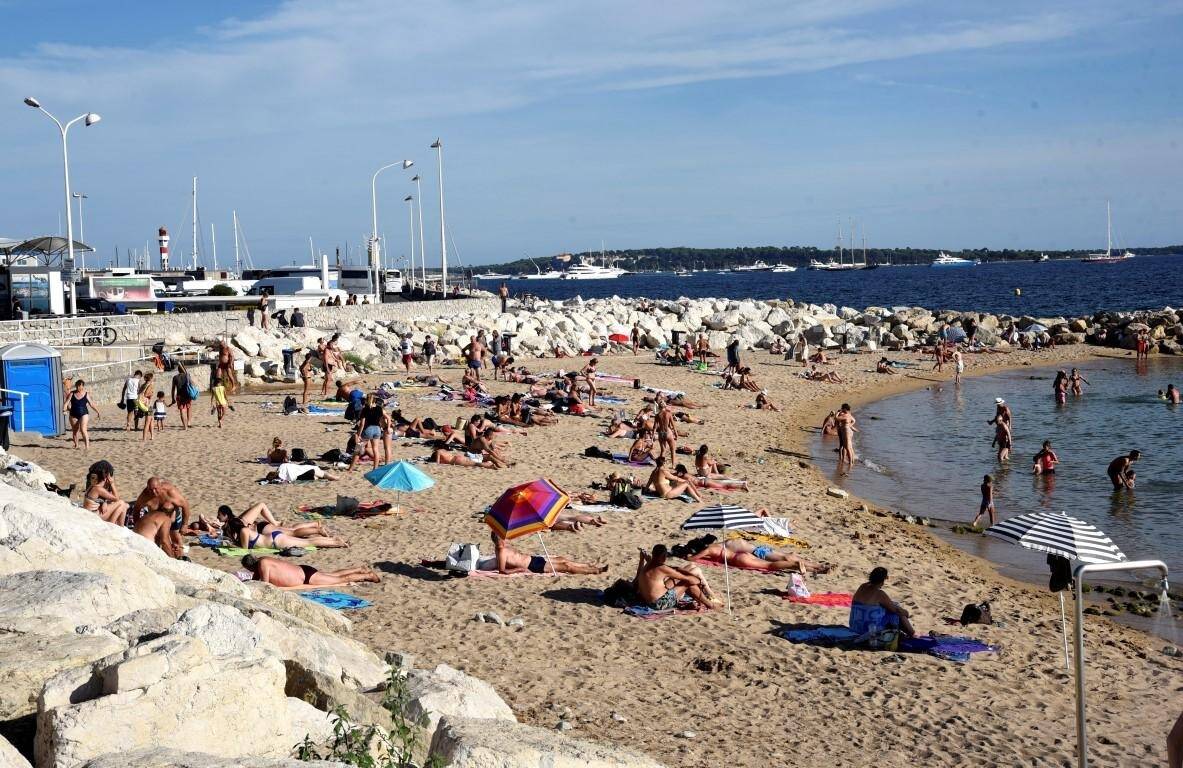 Peut-on promener son chien sur la plage, même bien avant ou après la venue des baigneurs à Cannes?