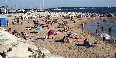Peut-on promener son chien sur la plage, même bien avant ou après la venue des baigneurs à Cannes?