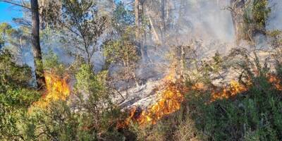 Un feu de forêt à Tourves détruit un hectare de végétation