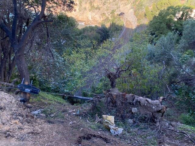 Un pin déraciné menace de glisser sur la voie à Cap-d'Ail, les agents travaillent depuis plusieurs nuits pour éviter une catastrophe