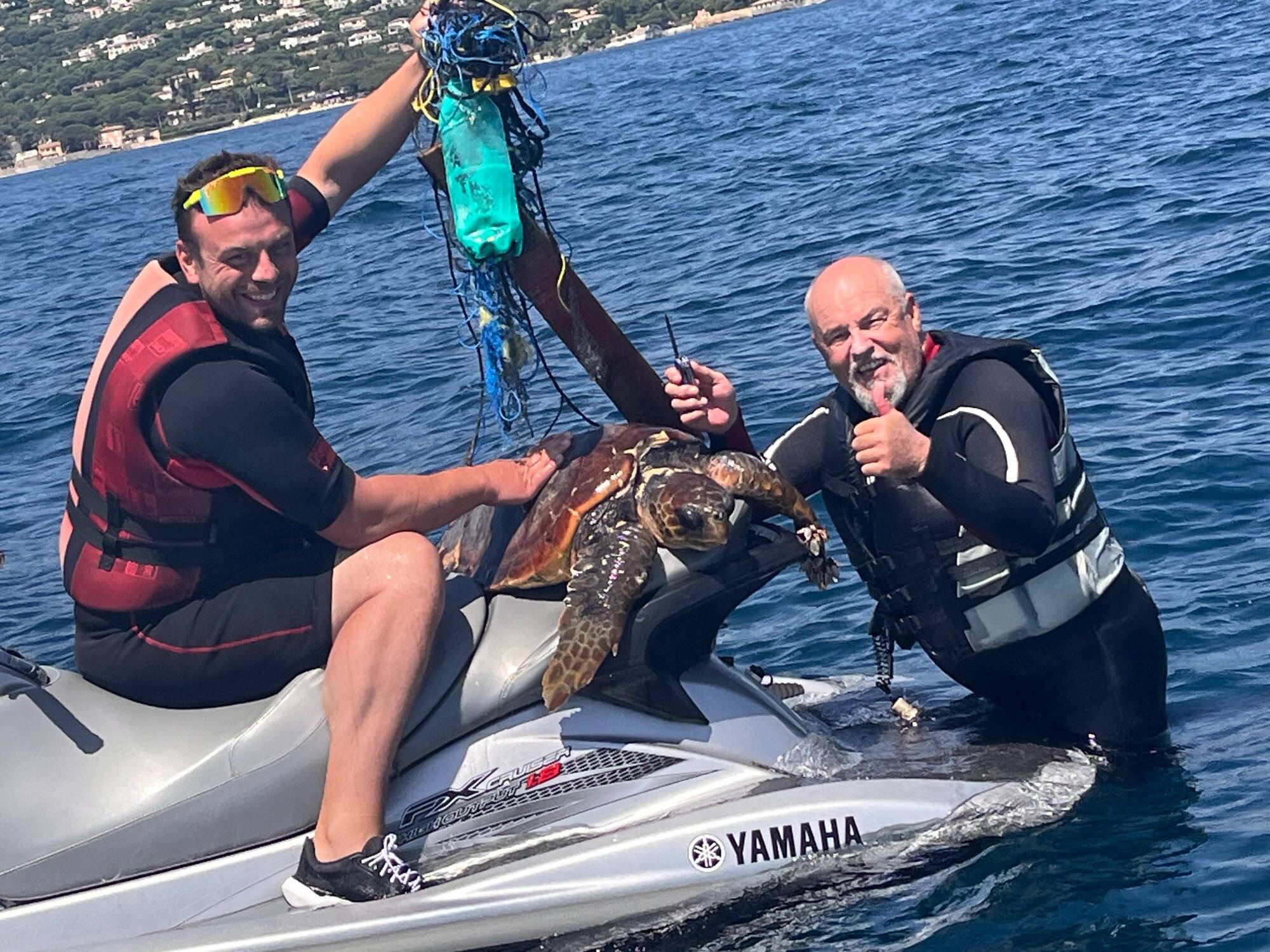 "Complètement paralysée par la présence de nombreux détritus autour d'elle": une tortue caouanne sauvée au large du golfe de Saint-Tropez
