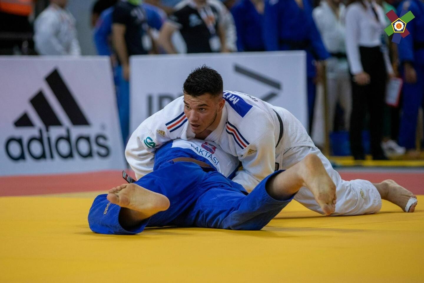 Le judoka Niçois Aleksa Mitrovic vainqueur de l'European cup de Sarajevo.
