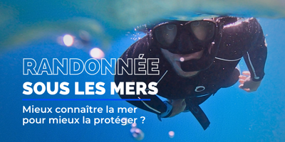 Et si cette activité sous-marine était l'avenir du tourisme vertueux sur la Côte d'Azur ?