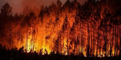 6.800 hectares de forêt brûlés, plus de 1.000 pompiers engagés: le point sur le terrible incendie en Gironde