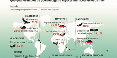 Plus de 2.400 espèces sont menacées d'extinction en France