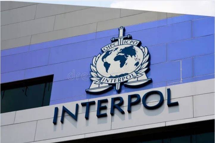 INTERPOL met un coup d'arrêt à des activités mafieuses de la 'Ndrangheta: plus de 100 personnes interpellées depuis 2020