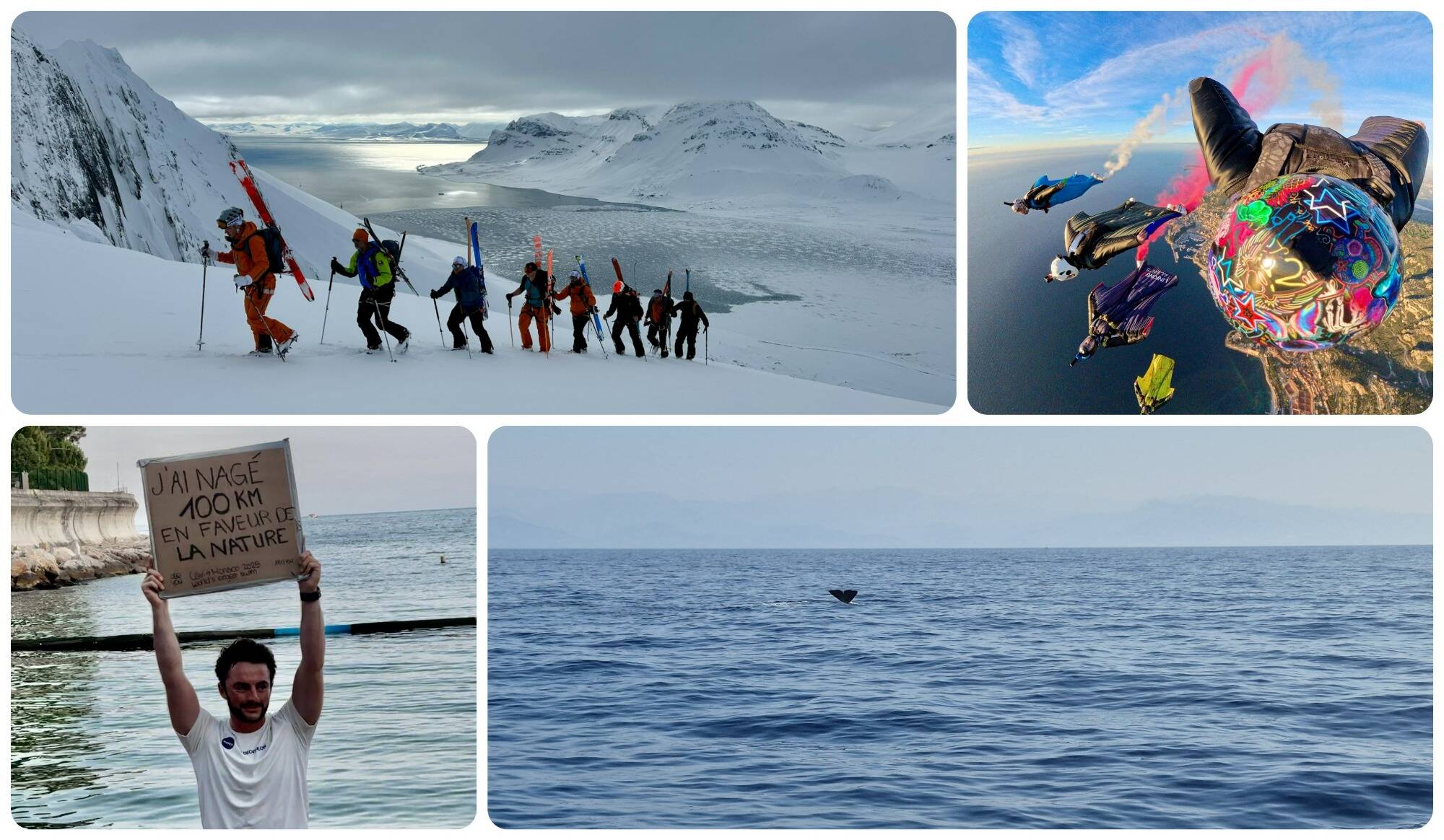 Ces moments insolites qui ont marqué l'année 2024 à Monaco