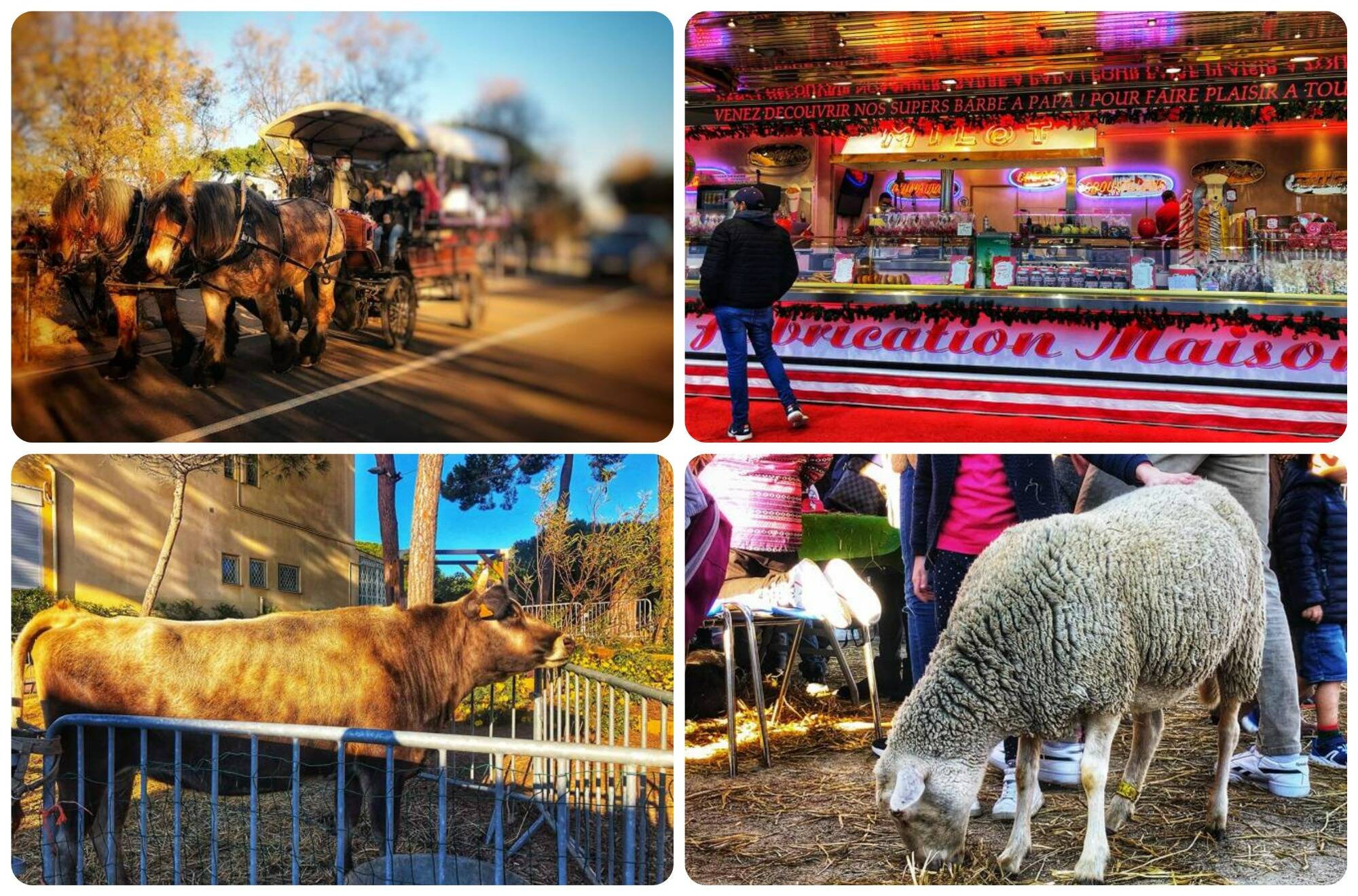 Vous ne savez pas quoi faire au lendemain de Noël? Voici 5 activités à tester à Antibes ce dimanche