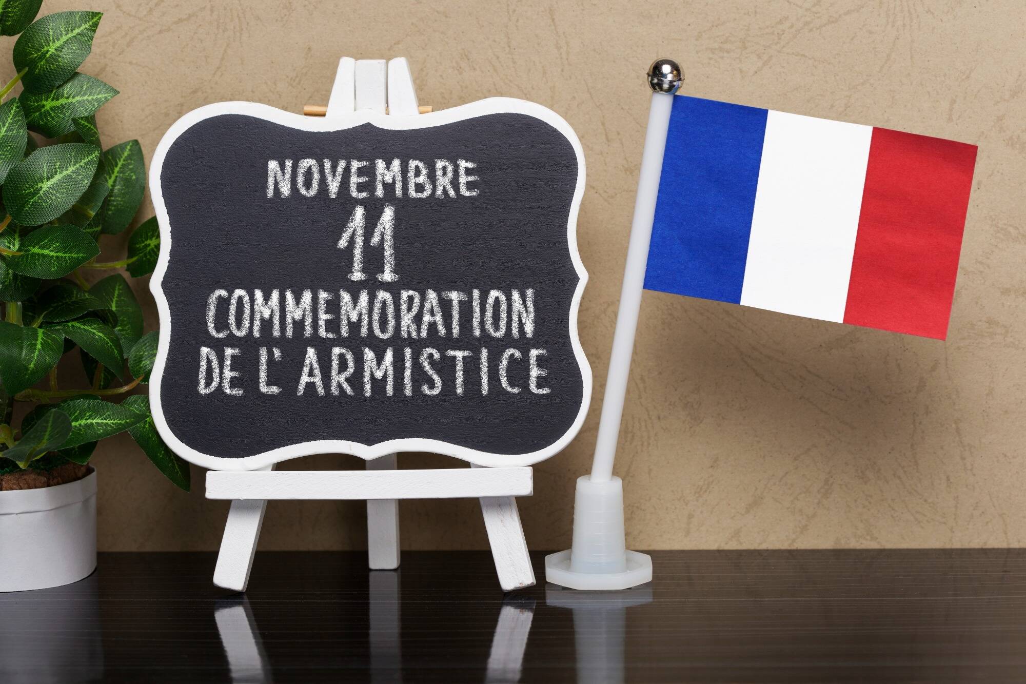 Le 11 Novembre Expliqué Aux Enfants Que s'est-il passé le 11 novembre 1918? - Nice-Matin