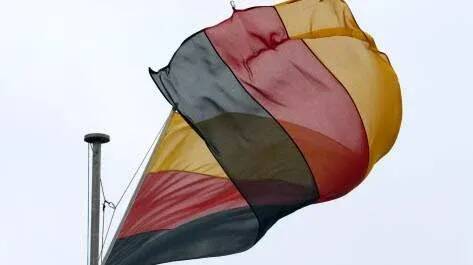 L'extrême droite allemande, soutenue par Elon Musk, progresse "le vent dans le dos" vers les législatives