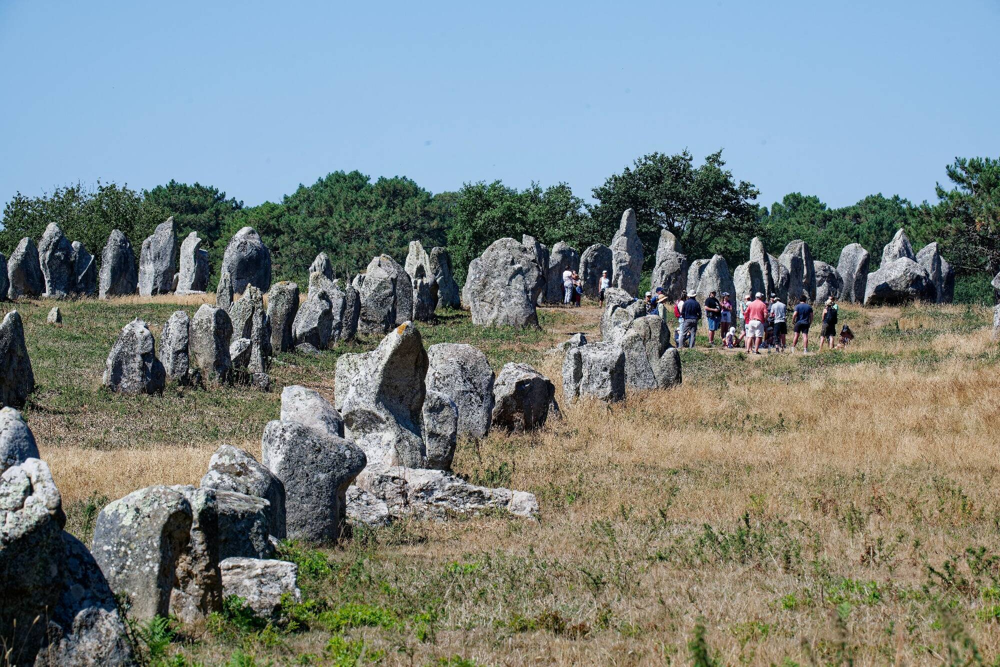Les mégalithes de Carnac (enfin) inscrits sur la liste du patrimoine mondial de l'Unesco