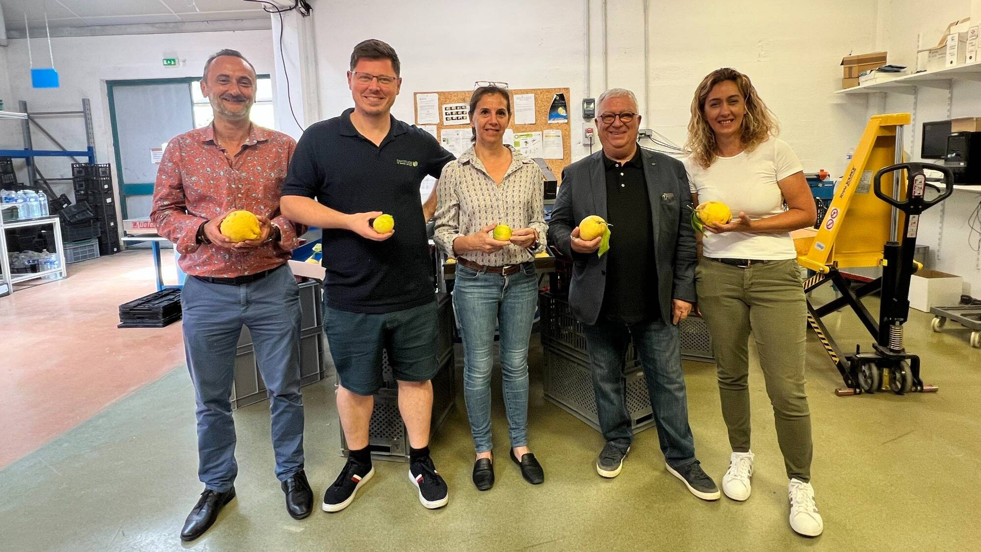 Connaissez-vous le "Maravilhe", l'autre citron de Menton qui sera célébré pour la toute première fois ce samedi?