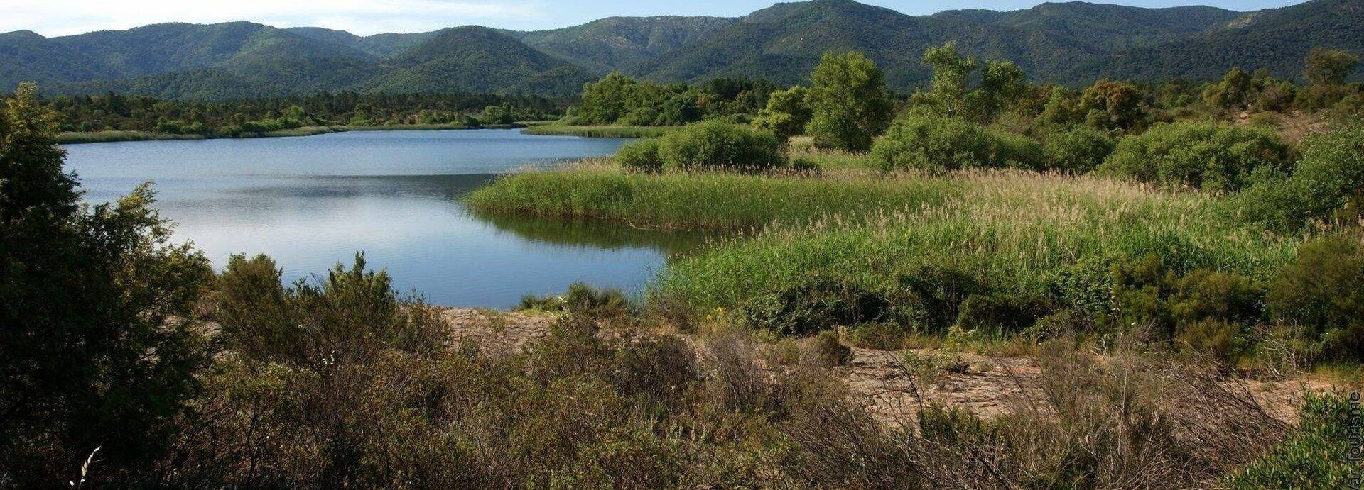 Après le Mont-Ventoux, la plaine des Maures, dans le Var? Vers un 10e parc naturel régional en Paca
