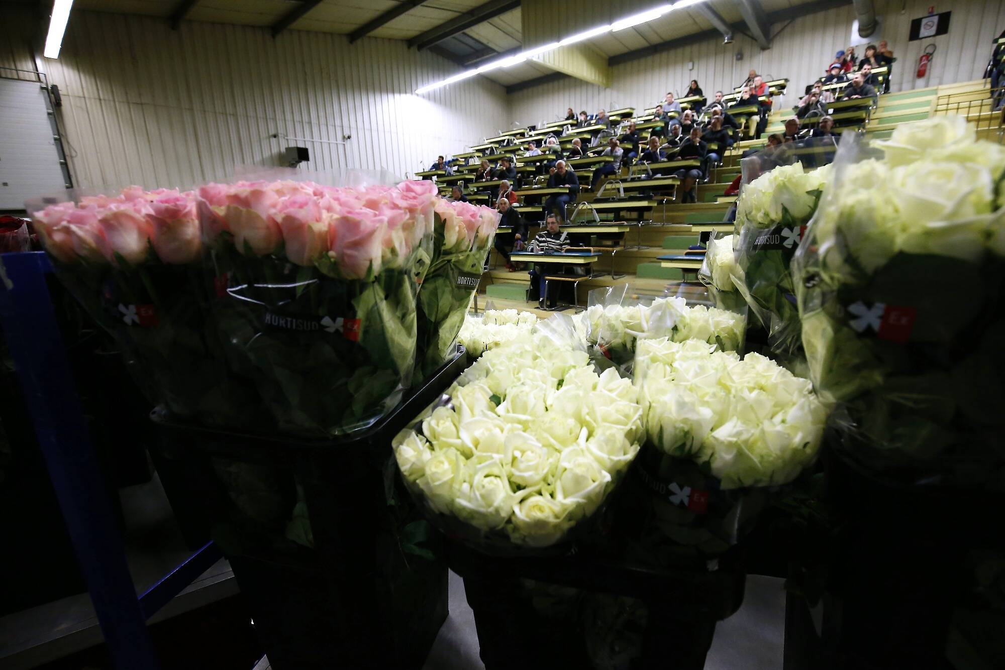 Non, toutes les roses achetées en France pour la Saint-Valentin ne viennent pas "d'Afrique et sont bourrées de pesticides", la preuve dans le Var