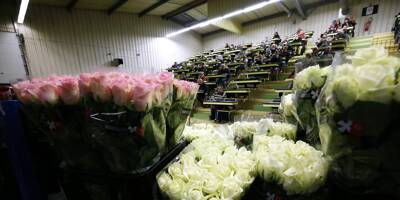 Non, toutes les roses achetées en France pour la Saint-Valentin ne viennent pas 