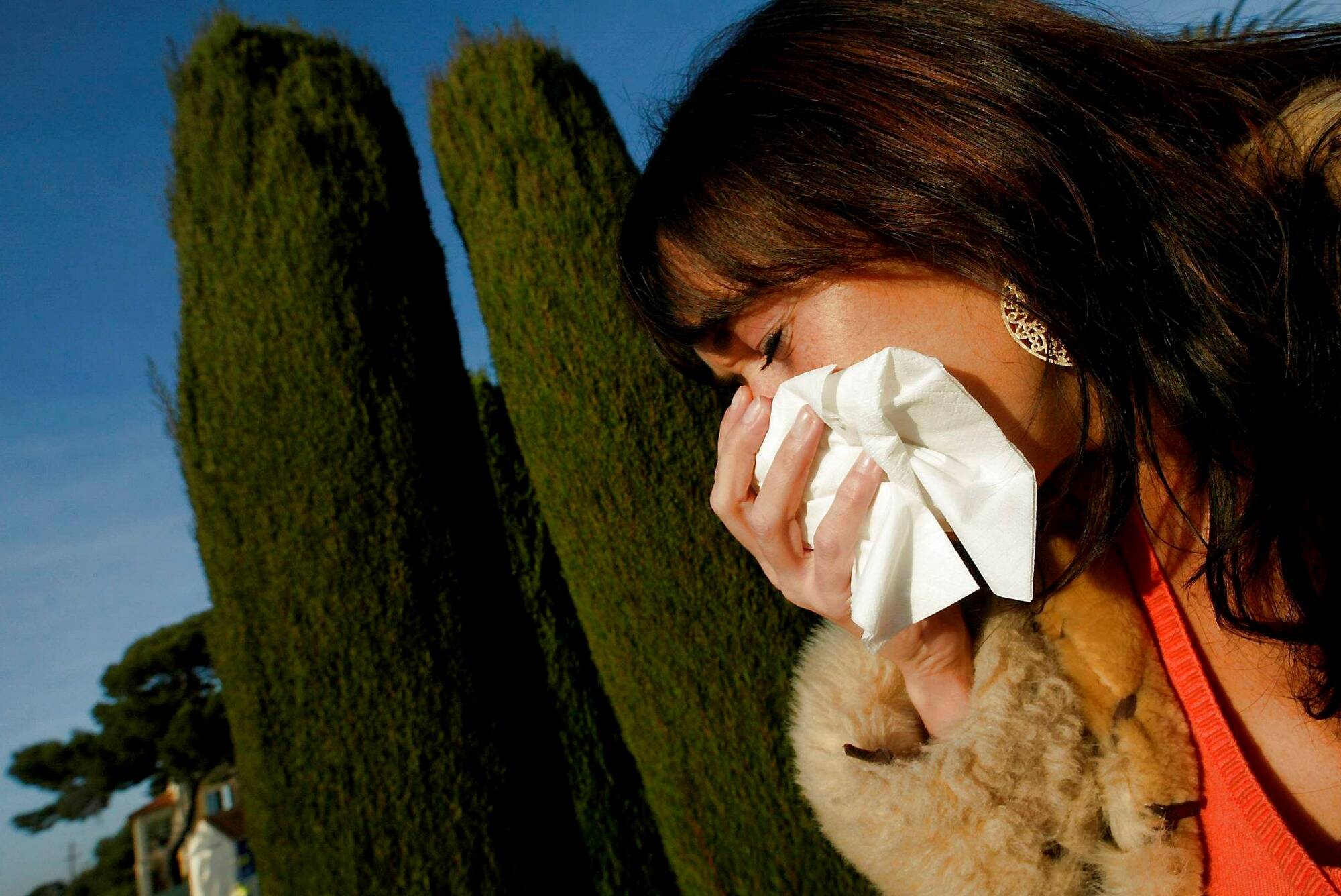 Alerte rouge sur le Var et les Alpes-Maritimes: les pollens sont de retour et ça va durer un moment