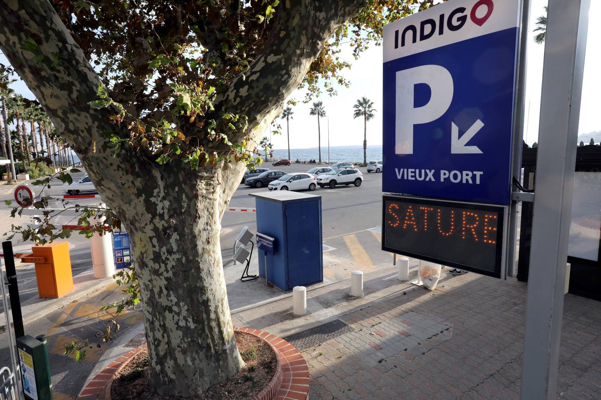 Indigo victime d'une cyberattaque: les données personnelles des clients potentiellement exposées