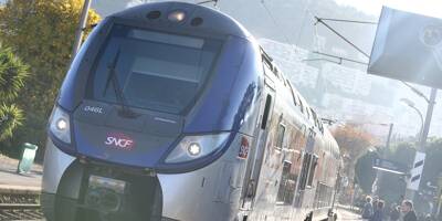 Il pousse son frère dans un train à Mouans-Sartoux, gros retard sur le trafic SNCF en gare de Cannes